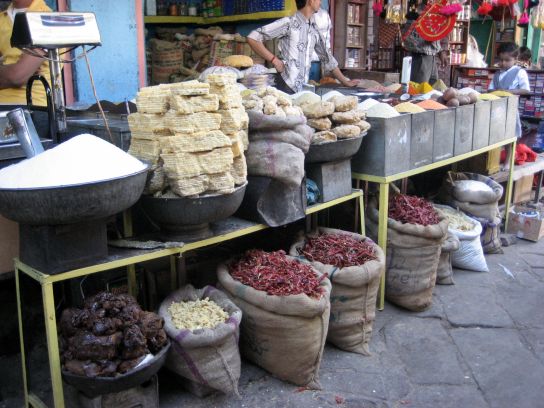 jodhpur140