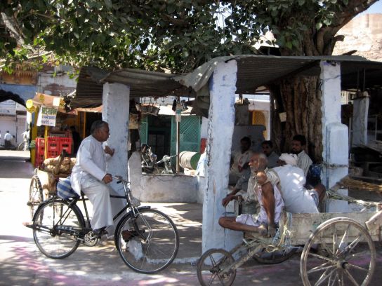 jodhpur141