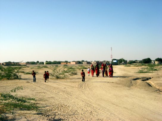 jodhpur197