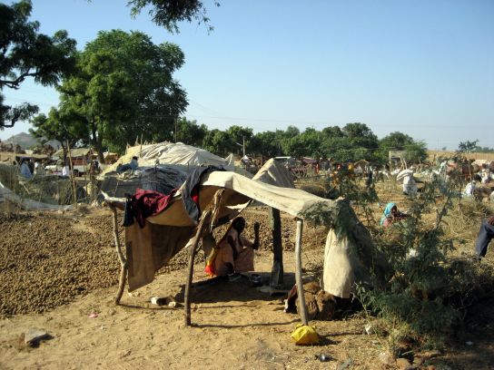 pushkar034