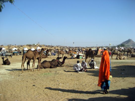 pushkar060