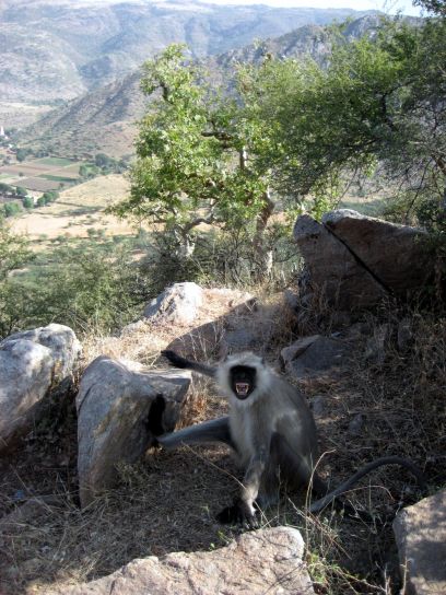 pushkar136