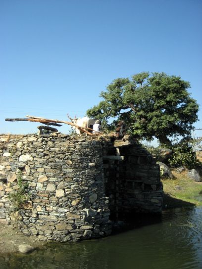 ranakpur002