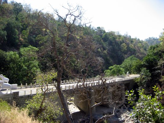 ranakpur013