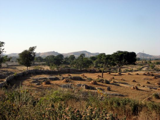 ranakpur107