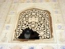 jaipur141