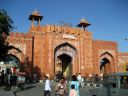 jaipur209