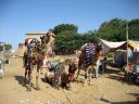 pushkar024