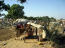 pushkar034