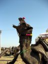 pushkar044