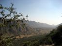 pushkar133