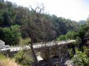 ranakpur013