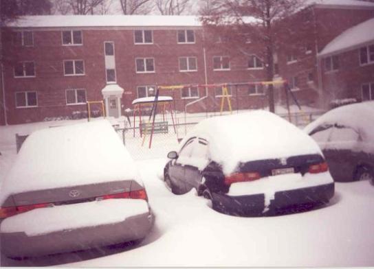 grad_gardens_snow
