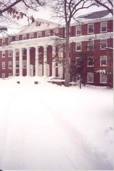 tydings_snow