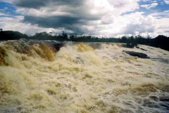 canaimaw098
