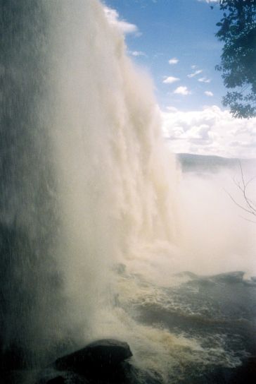 canaimaw099