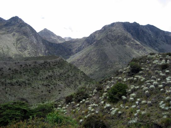 merida067
