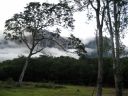 canaima036