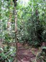 canaima043
